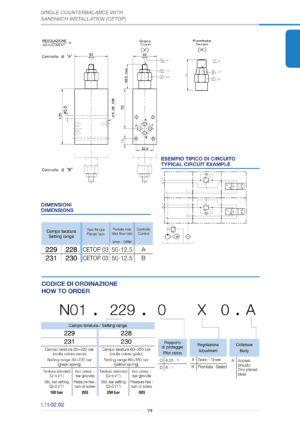 Клапан одностороннего действия OWC-SE-L10-N01.484.OXO.A