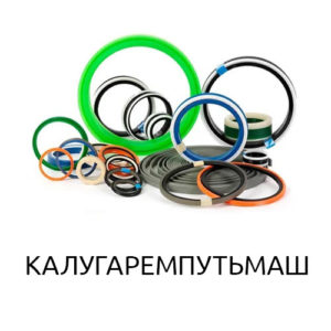 Ремкомплект РК-ППК3В-100.70/1-ЕП