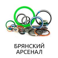 Ремкоплект РК-ГС18-100.50/1-ЕП