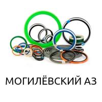 Ремкоплект РК-Моаз6014-125.56/2-Е